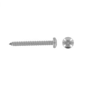 ISO 14585 Savisriegis su pusapvale galvute TORX