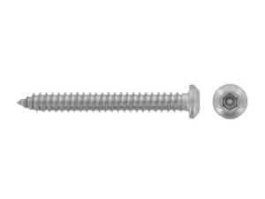 Saugumo varžtas pusapvale galva HEX-PIN