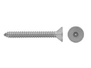 Saugumo varžtas HEX-PIN