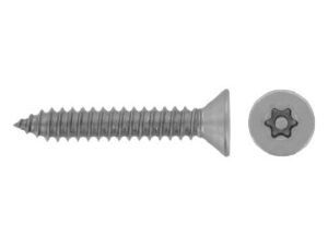 Saugumo varžtas TX-PIN