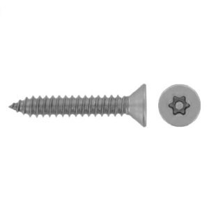 Saugumo varžtas TX-PIN