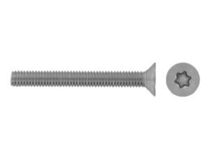 Saugumo metrinis varžtas TX-PIN